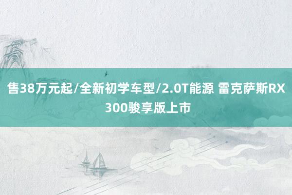 售38万元起/全新初学车型/2.0T能源 雷克萨斯RX 300骏享版上市