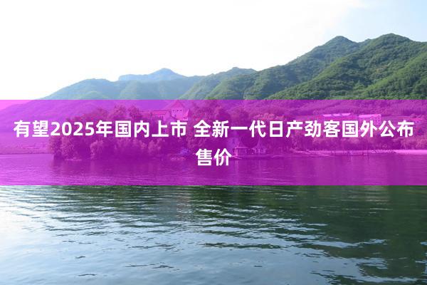 有望2025年国内上市 全新一代日产劲客国外公布售价