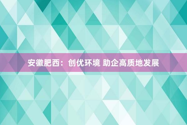 安徽肥西：创优环境 助企高质地发展