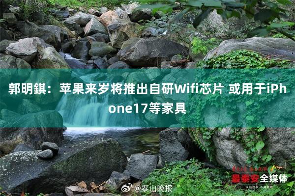 郭明錤：苹果来岁将推出自研Wifi芯片 或用于iPhone17等家具