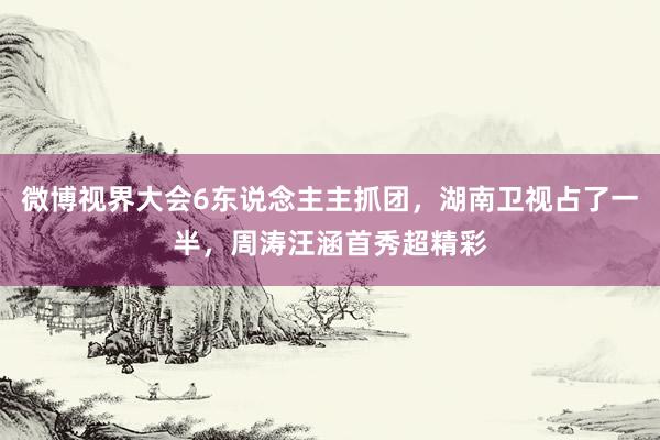 微博视界大会6东说念主主抓团，湖南卫视占了一半，周涛汪涵首秀超精彩