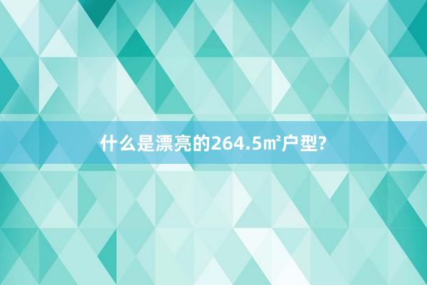 什么是漂亮的264.5㎡户型?