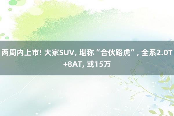 两周内上市! 大家SUV, 堪称“合伙路虎”, 全系2.0T+8AT, 或15万