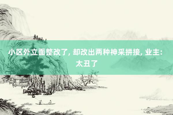小区外立面整改了, 却改出两种神采拼接, 业主: 太丑了